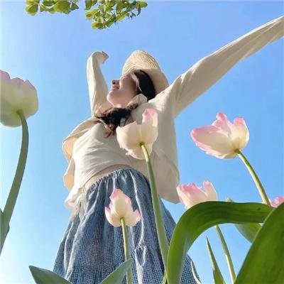 神秘凶杀案
